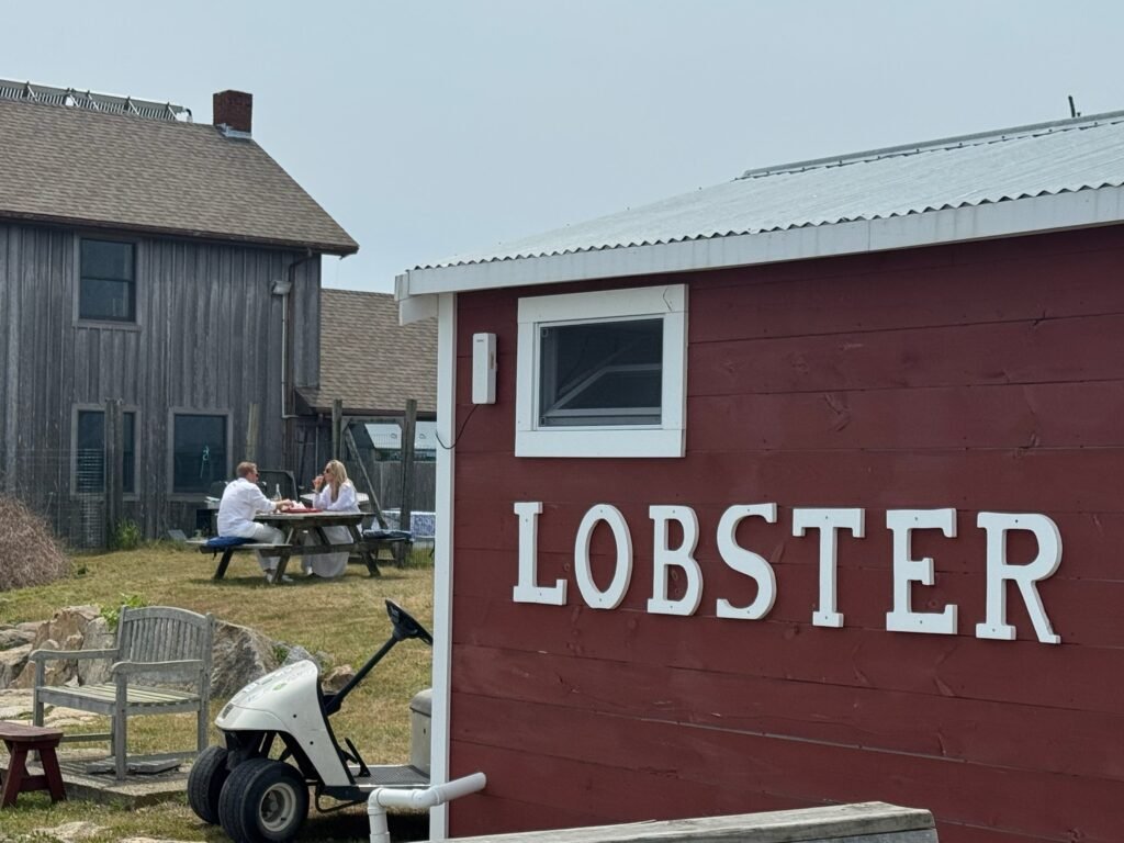 img 1358